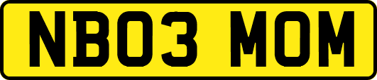 NB03MOM