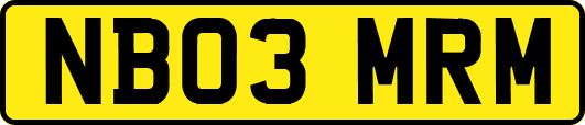 NB03MRM