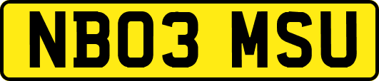 NB03MSU
