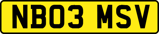 NB03MSV