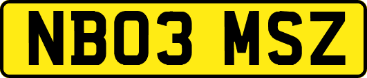 NB03MSZ