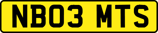 NB03MTS
