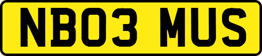 NB03MUS