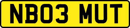 NB03MUT