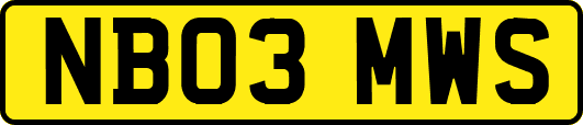 NB03MWS