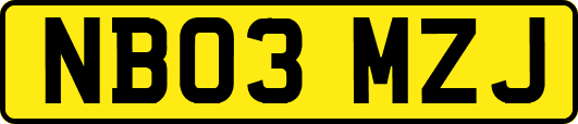 NB03MZJ