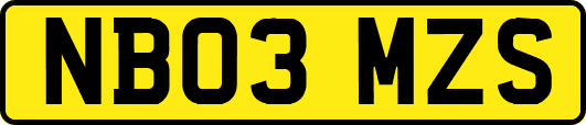 NB03MZS