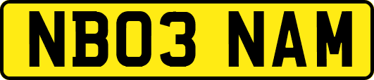 NB03NAM