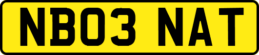 NB03NAT