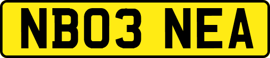 NB03NEA