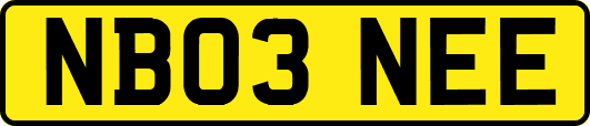 NB03NEE