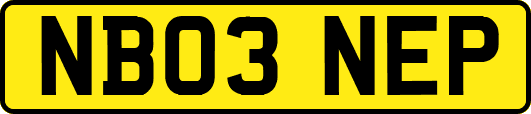NB03NEP