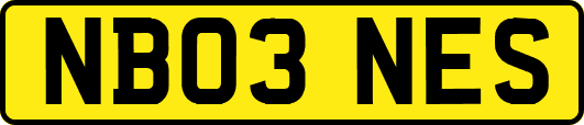NB03NES