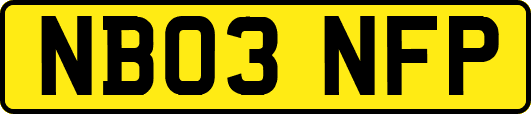NB03NFP