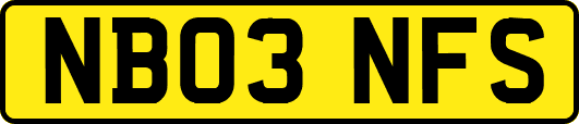 NB03NFS
