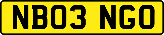 NB03NGO