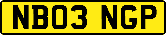 NB03NGP