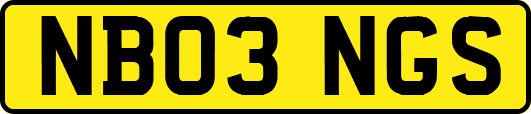 NB03NGS