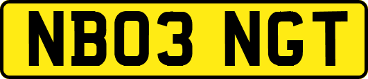 NB03NGT