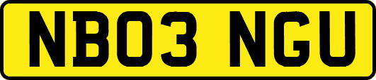 NB03NGU