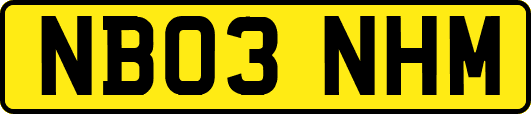 NB03NHM