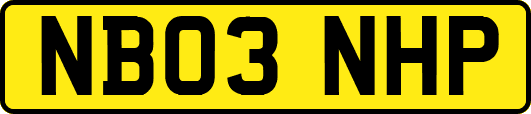 NB03NHP