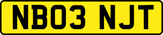 NB03NJT