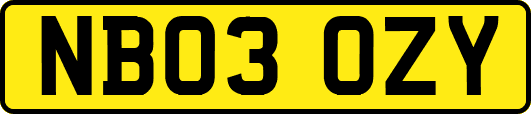 NB03OZY