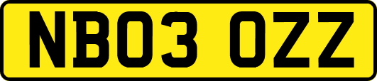 NB03OZZ