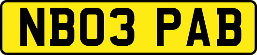 NB03PAB