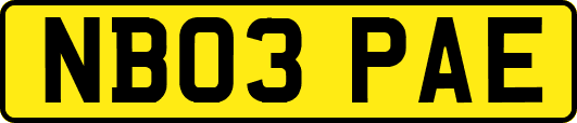 NB03PAE