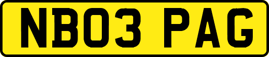 NB03PAG