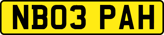 NB03PAH