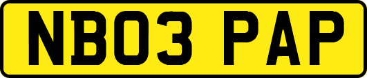NB03PAP