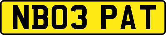 NB03PAT