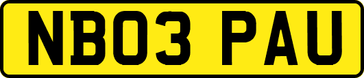NB03PAU