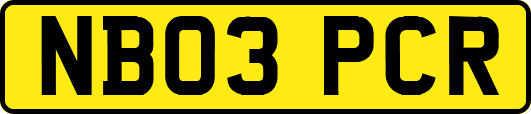 NB03PCR