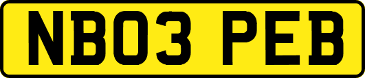 NB03PEB