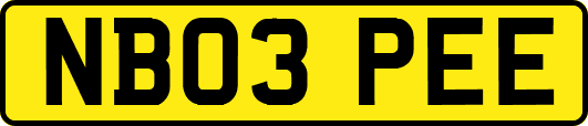 NB03PEE