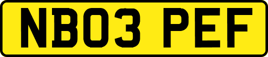 NB03PEF