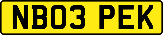 NB03PEK