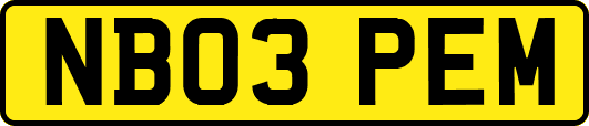 NB03PEM