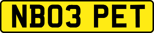 NB03PET