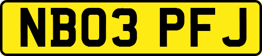 NB03PFJ