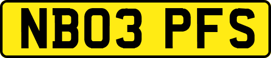 NB03PFS
