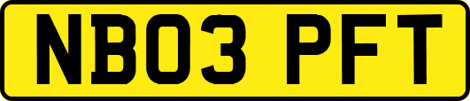 NB03PFT