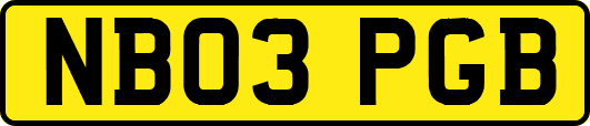 NB03PGB
