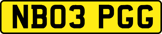 NB03PGG