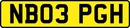 NB03PGH