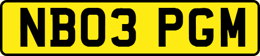 NB03PGM